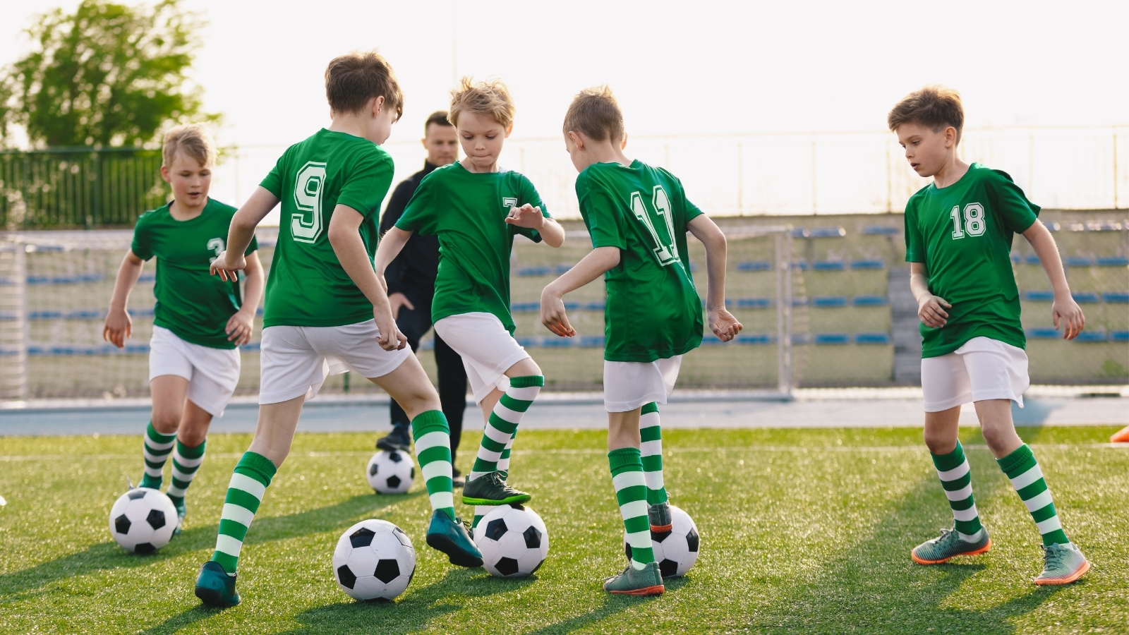 System Tuntievo dla akademii sportowej